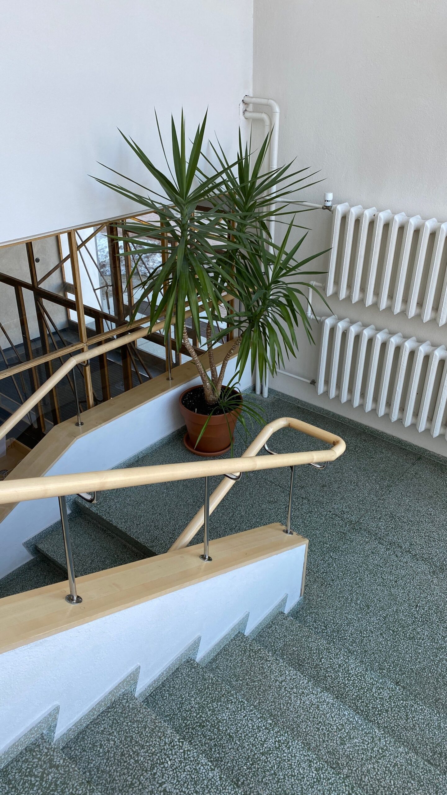 Stylish interior staircase with a decorative potted plant under natural lighting.